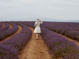 Picture relating to Nabowla - titled 'Nabowla - Bridstowe Lavender Farm' Picture relating to Nabowla - titled 'Nabowla - Bridstowe Lavender Farm'